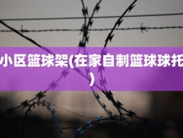 小区篮球架(在家自制篮球球托)