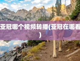 亚冠哪个视频转播(亚冠在哪看)