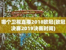 哪个卫视直播2018欧冠(欧冠决赛2019决赛时间)