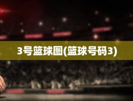 3号篮球图(篮球号码3)
