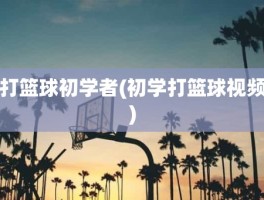打篮球初学者(初学打篮球视频)
