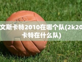 文斯卡特2010在哪个队(2k20卡特在什么队)