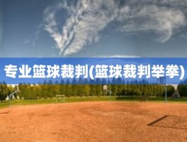 专业篮球裁判(篮球裁判举拳)