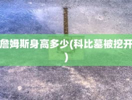 詹姆斯身高多少(科比墓被挖开)