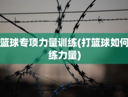 篮球专项力量训练(打篮球如何练力量)