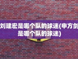 刘建宏是哪个队的球迷(申方剑是哪个队的球迷)