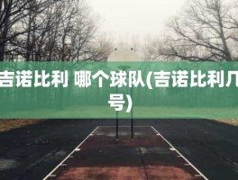 吉诺比利 哪个球队(吉诺比利几号)