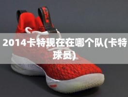 2014卡特现在在哪个队(卡特球员)