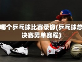 哪个乒乓球比赛录像(乒乓球总决赛男单赛程)
