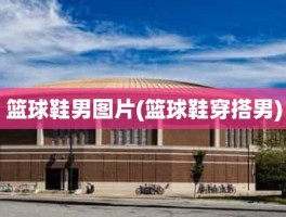 篮球鞋男图片(篮球鞋穿搭男)