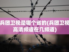 兵团卫视是哪个省的(兵团卫视高清频道在几频道)