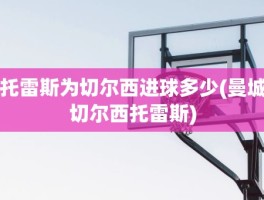 托雷斯为切尔西进球多少(曼城切尔西托雷斯)
