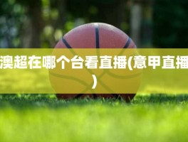 澳超在哪个台看直播(意甲直播)
