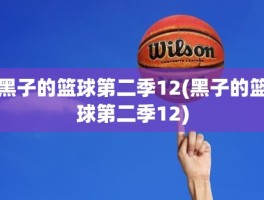 黑子的篮球第二季12(黑子的篮球第二季12)