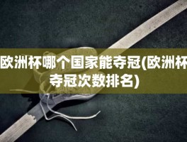 欧洲杯哪个国家能夺冠(欧洲杯夺冠次数排名)