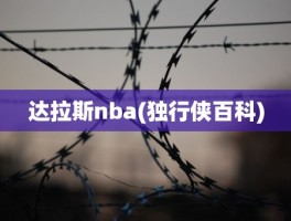 达拉斯nba(独行侠百科)