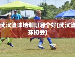 武汉篮球培训班哪个好(武汉篮球协会)