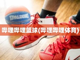 哔哩哔哩篮球(哔哩哔哩体育)