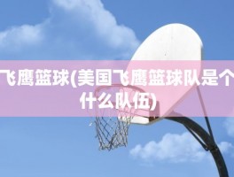 飞鹰篮球(美国飞鹰篮球队是个什么队伍)