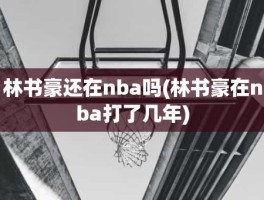 林书豪还在nba吗(林书豪在nba打了几年)