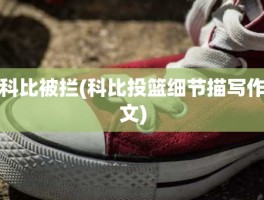 科比被拦(科比投篮细节描写作文)