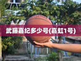 武藤嘉纪多少号(嘉虹1号)