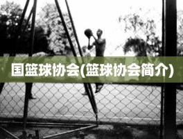 国篮球协会(篮球协会简介)