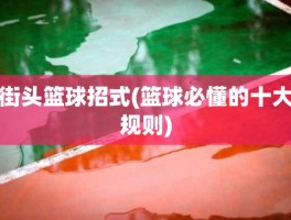 街头篮球招式(篮球必懂的十大规则)