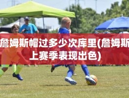 詹姆斯帽过多少次库里(詹姆斯上赛季表现出色)