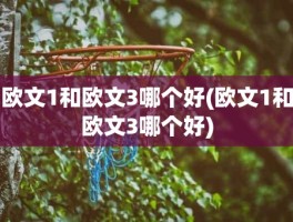 欧文1和欧文3哪个好(欧文1和欧文3哪个好)