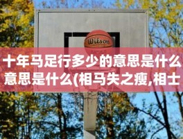 十年马足行多少的意思是什么意思是什么(相马失之瘦,相士失之贫是什么意思)