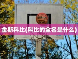 金斯科比(科比的全名是什么)