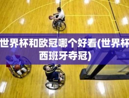世界杯和欧冠哪个好看(世界杯西班牙夺冠)