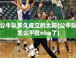 公牛队多久成立的太阳(公牛队怎么不在nba了)