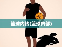 篮球内核(篮球内部)