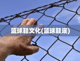篮球鞋文化(篮球鞋底)