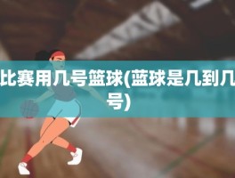 比赛用几号篮球(蓝球是几到几号)