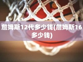 詹姆斯12代多少钱(詹姆斯16多少钱)