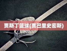 贾斯丁篮球(贾巴里史密斯)