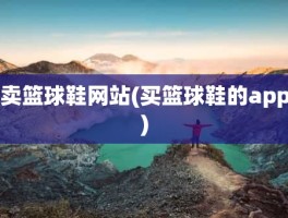 卖篮球鞋网站(买篮球鞋的app)