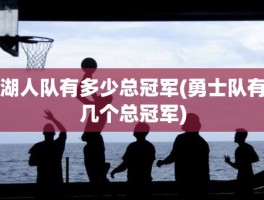 湖人队有多少总冠军(勇士队有几个总冠军)