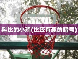 科比的小鸡(比较有趣的暗号)