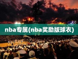 nba专属(nba奖励版球衣)