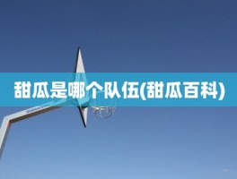 甜瓜是哪个队伍(甜瓜百科)