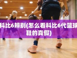 科比6辨别(怎么看科比6代篮球鞋的真假)