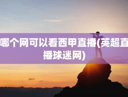 哪个网可以看西甲直播(英超直播球迷网)