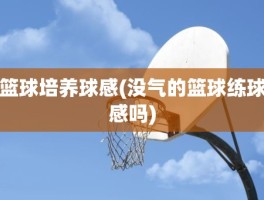 篮球培养球感(没气的篮球练球感吗)