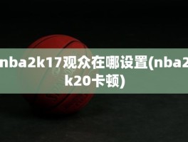 nba2k17观众在哪设置(nba2k20卡顿)