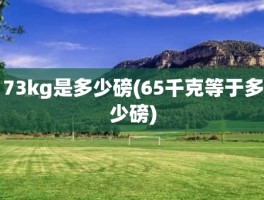 73kg是多少磅(65千克等于多少磅)