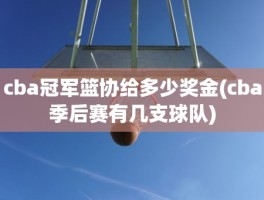 cba冠军篮协给多少奖金(cba季后赛有几支球队)